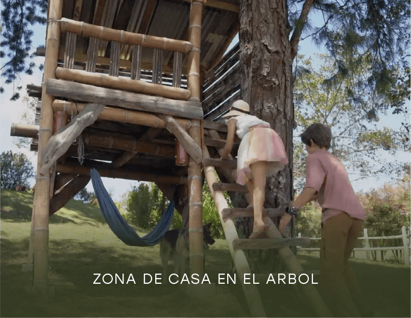 casa-arbol.png